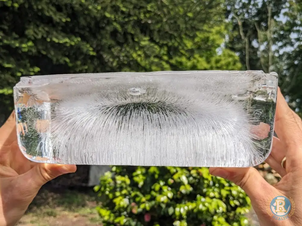 Collar Electronite Adulto 2.0: Protección y Bienestar Siempre Contigo - Image 11