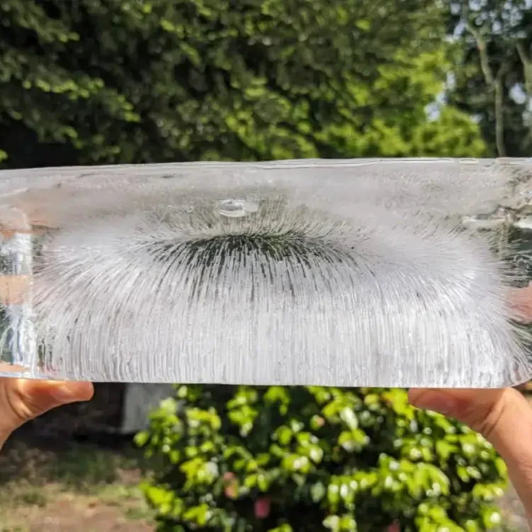 Electronite V1.5 – Protección Avanzada Contra la Radiación - Image 7