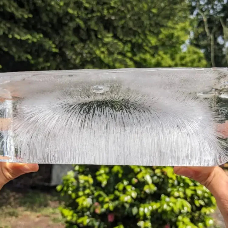 Collar Electronite Kids 2.0 – Protección Avanzada para los Más Pequeños - Image 5